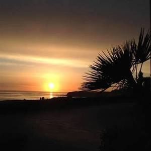 Meet your Posher, Lynette